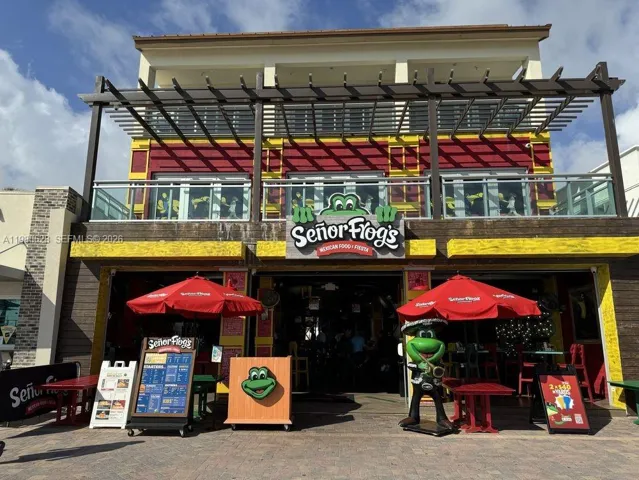 Senor Frogs