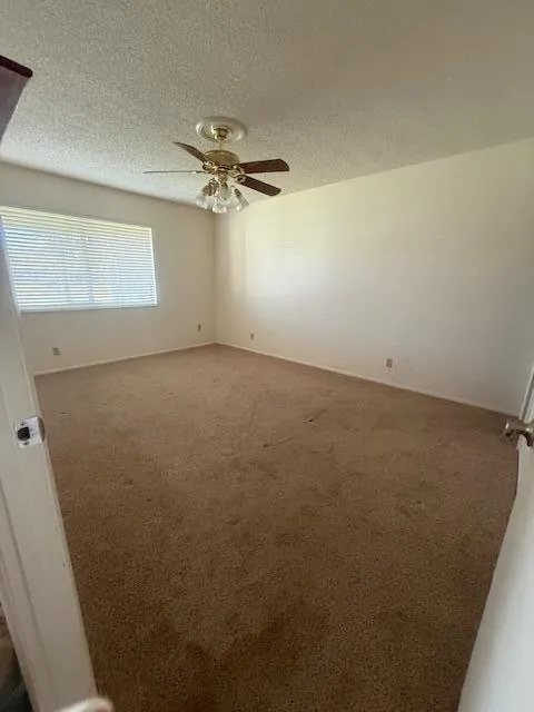 ceiling fan in master