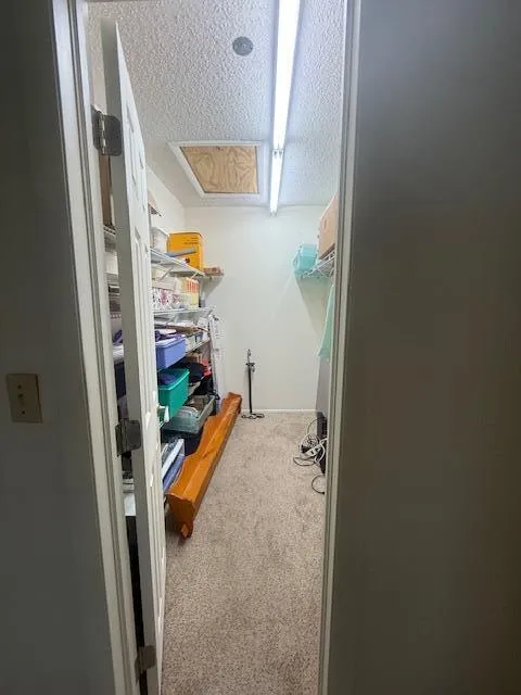 master walk in closet