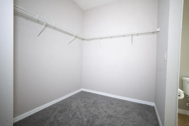 Master Closet 1