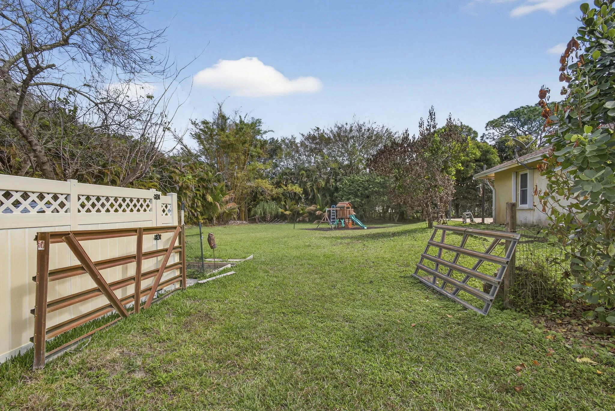 Back Yard