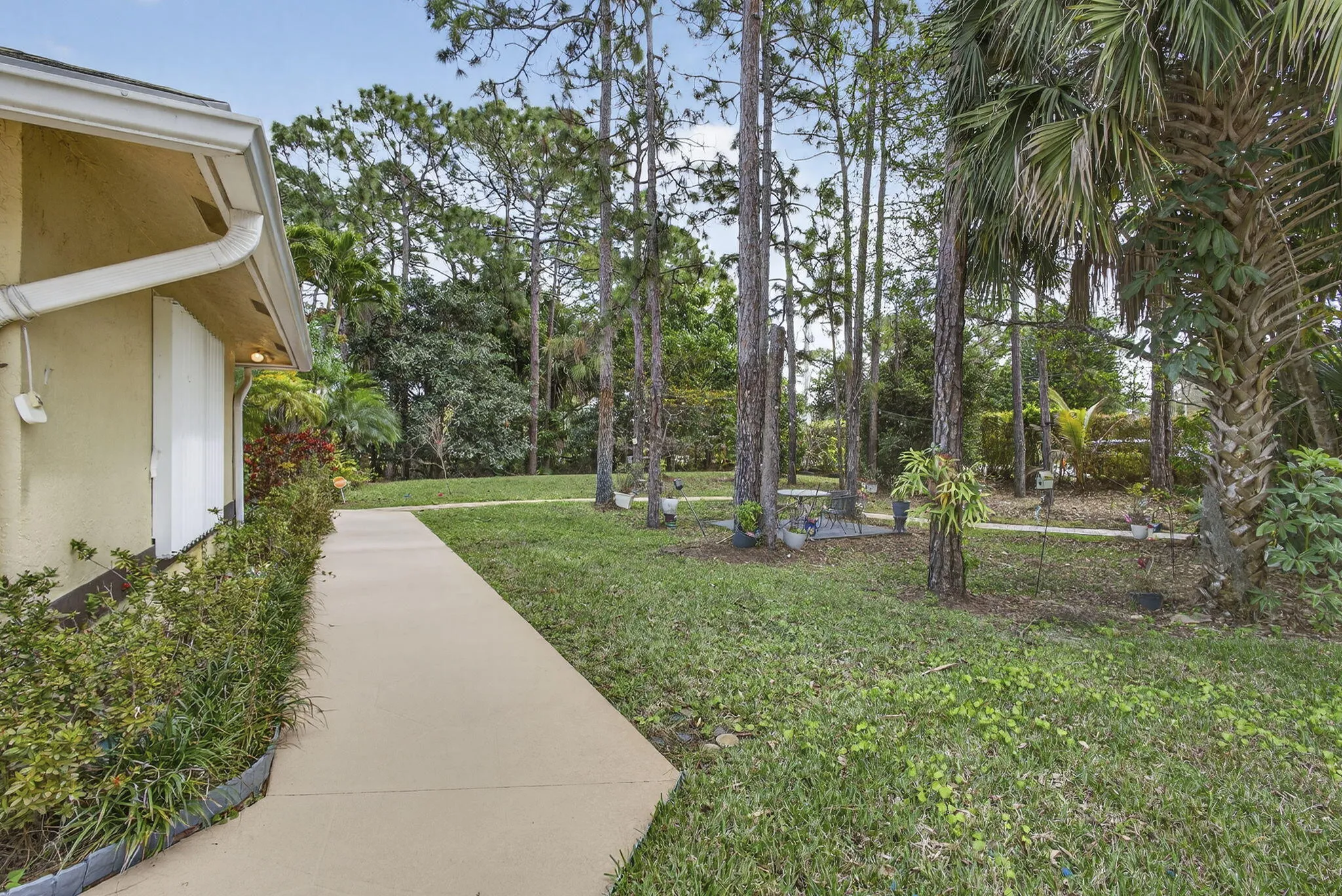Front Yard