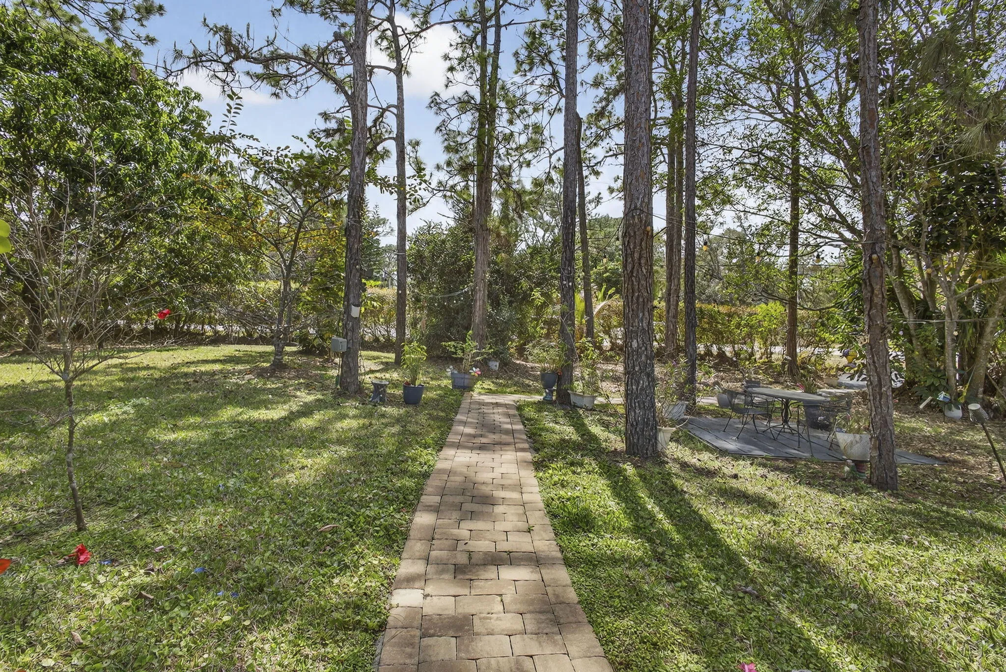 Front Yard