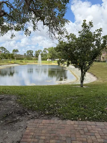 Pond