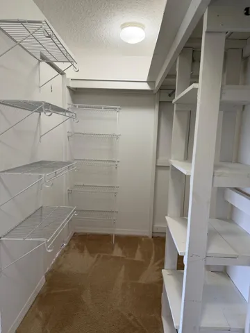 Master closet2