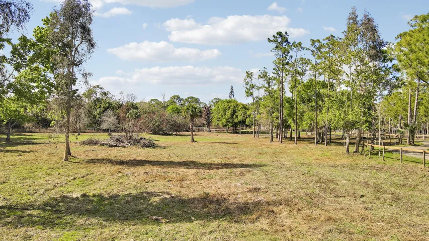 pasture left of driveway