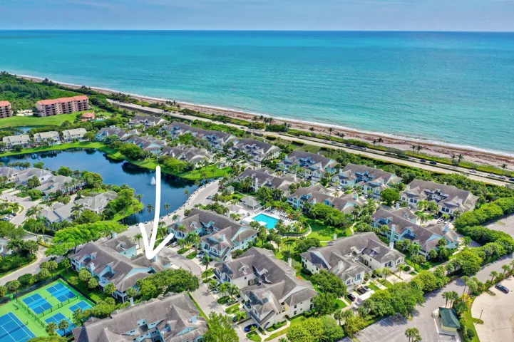 Sea Colony