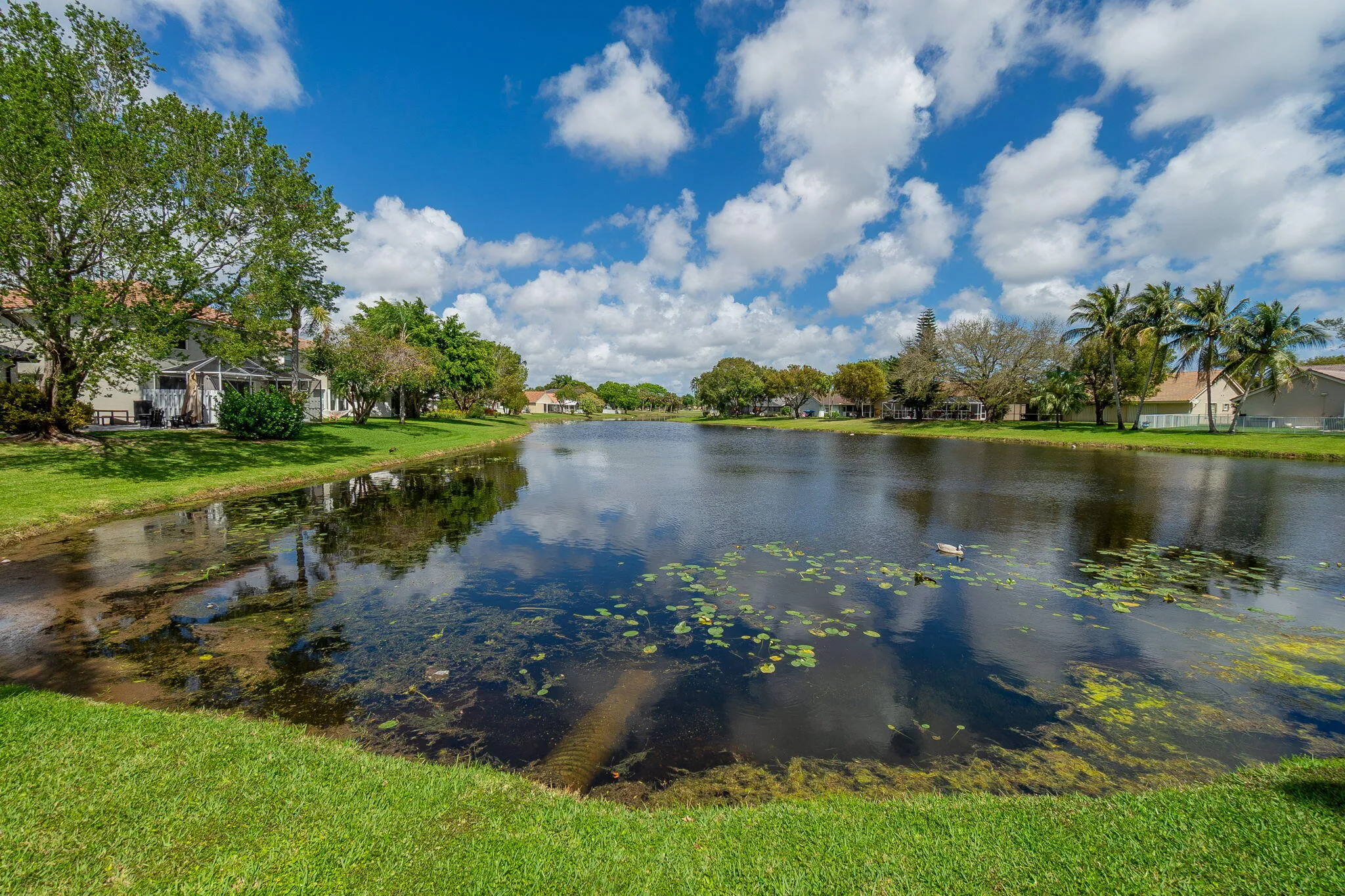 Property photo 44