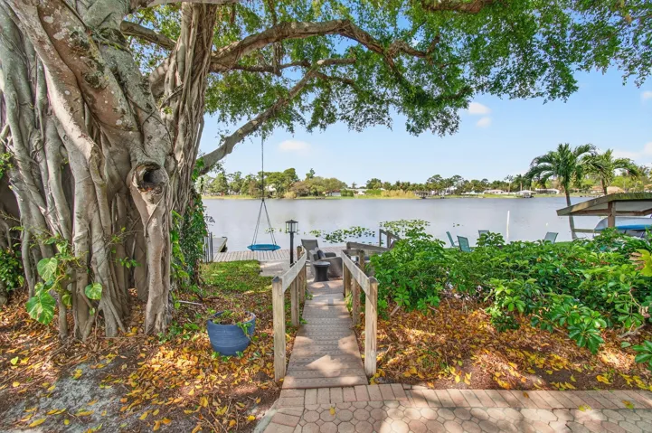 Lush Footpath To The Lake