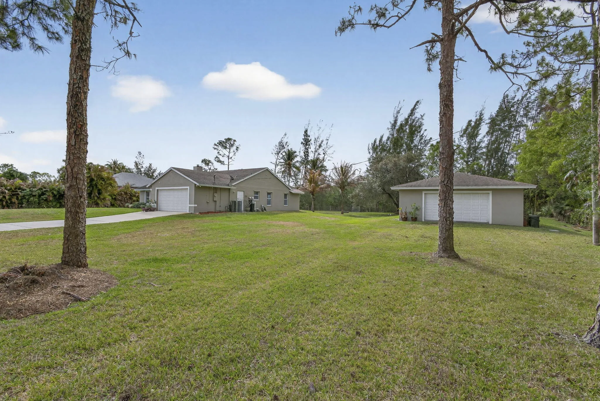 41-web-or-mls-BS1A0511