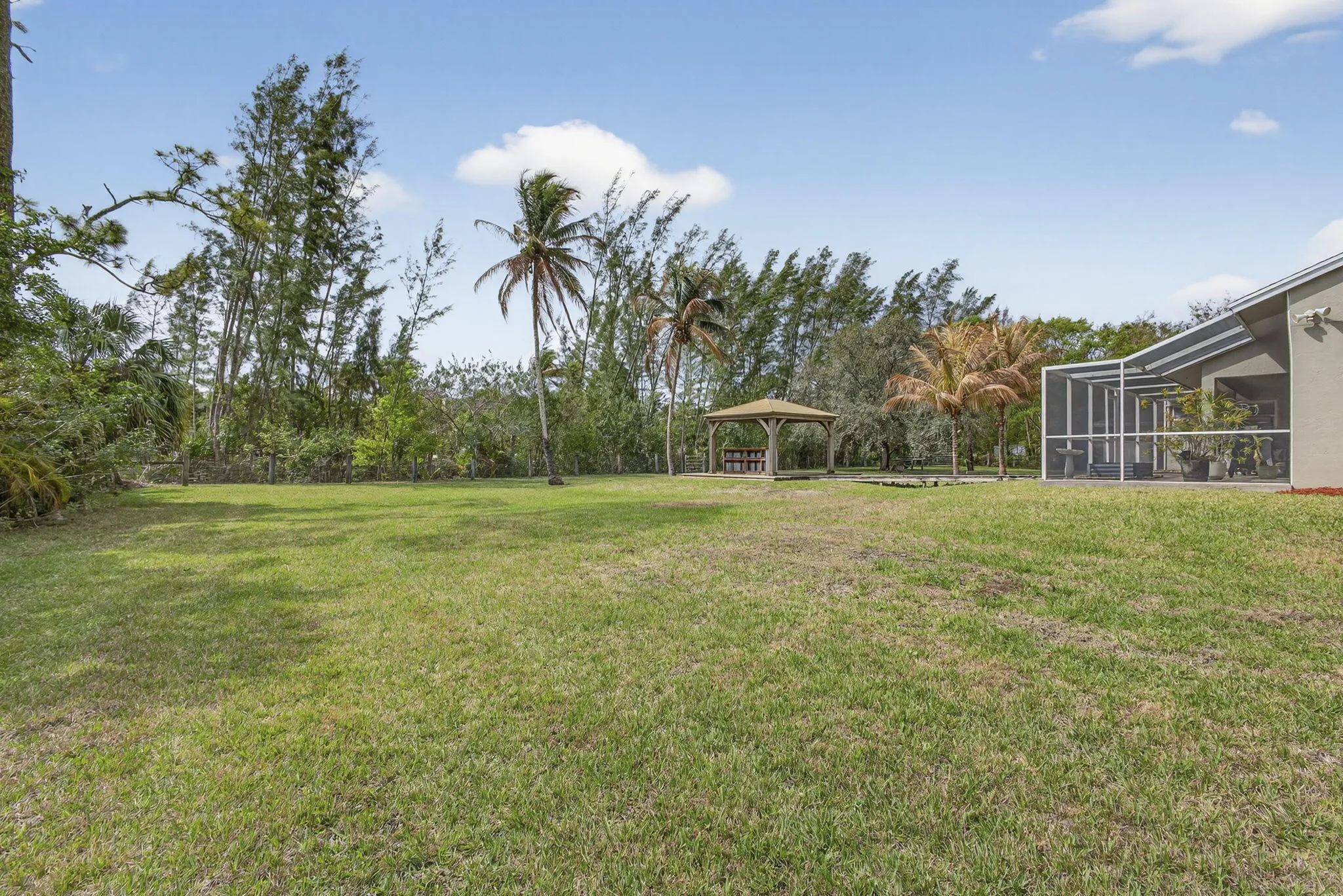 59-web-or-mls-BS1A0601