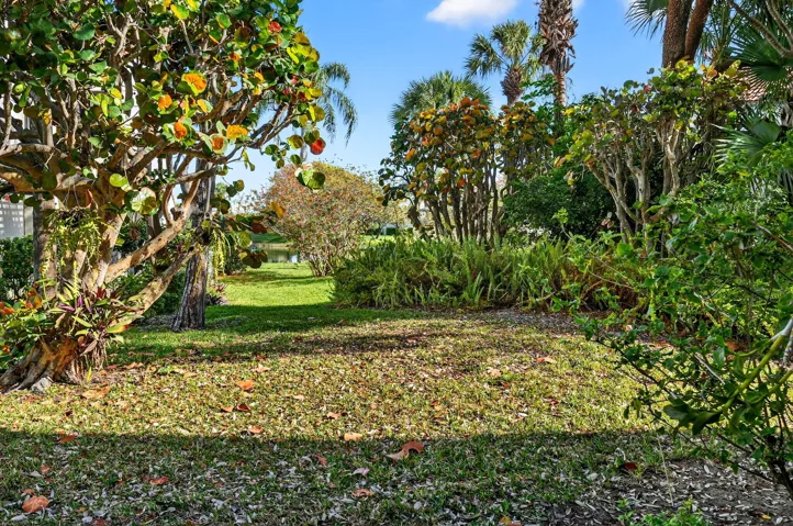 301 SEA OATS 54-web-or-mls-_MLP8431