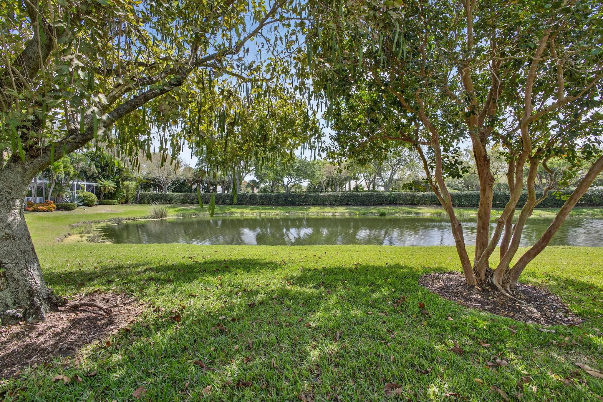 LAKE VIEW