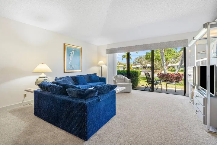 Living Room and Patio