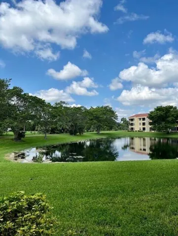 Lake at the back