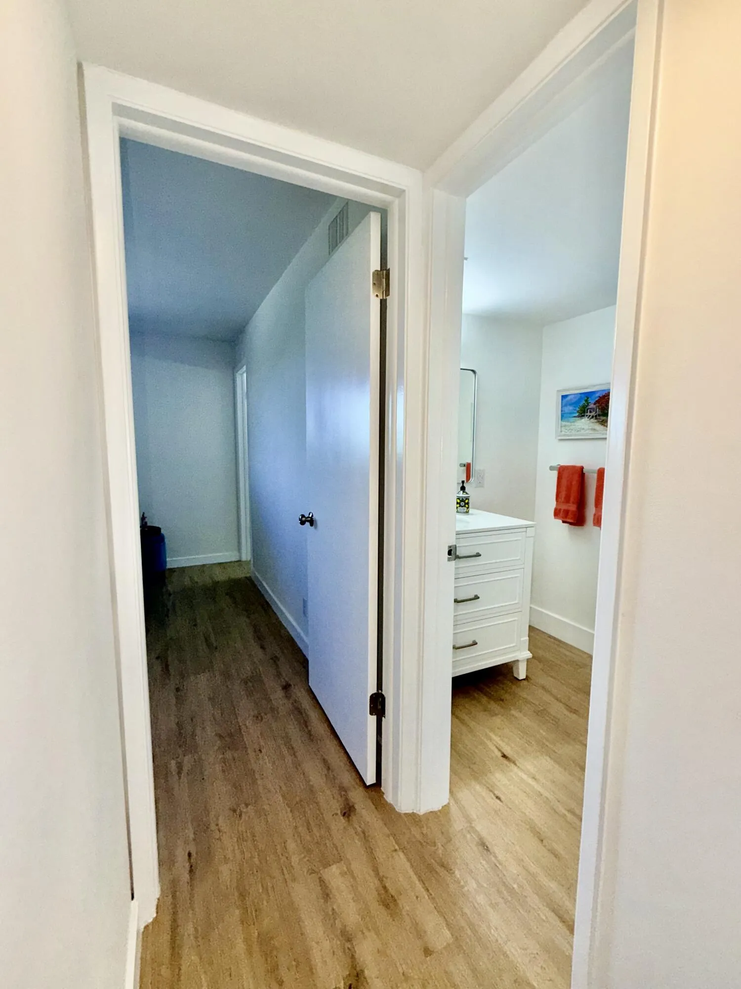 Hallway to guest bath and bedroom