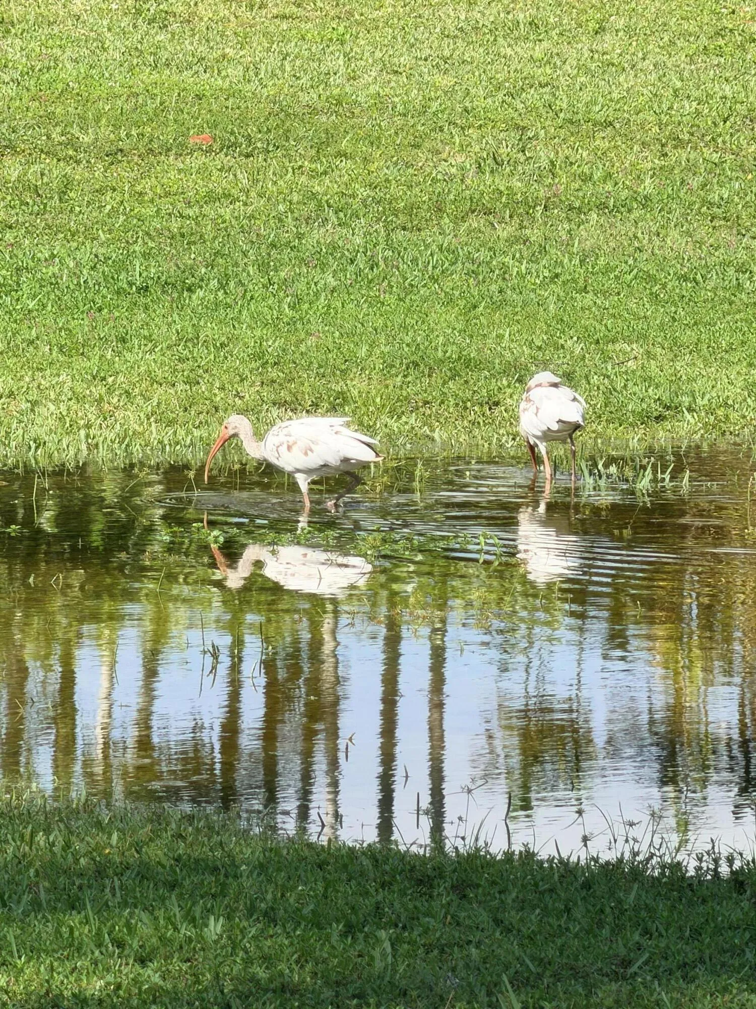 Harbors Edge park on the Intracoastal
