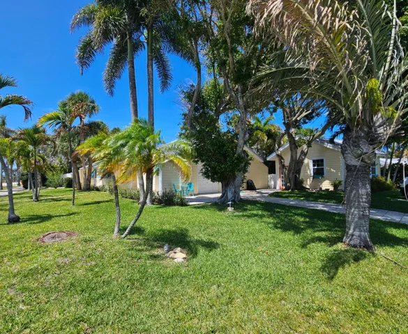 Property filled with native tropical plants!