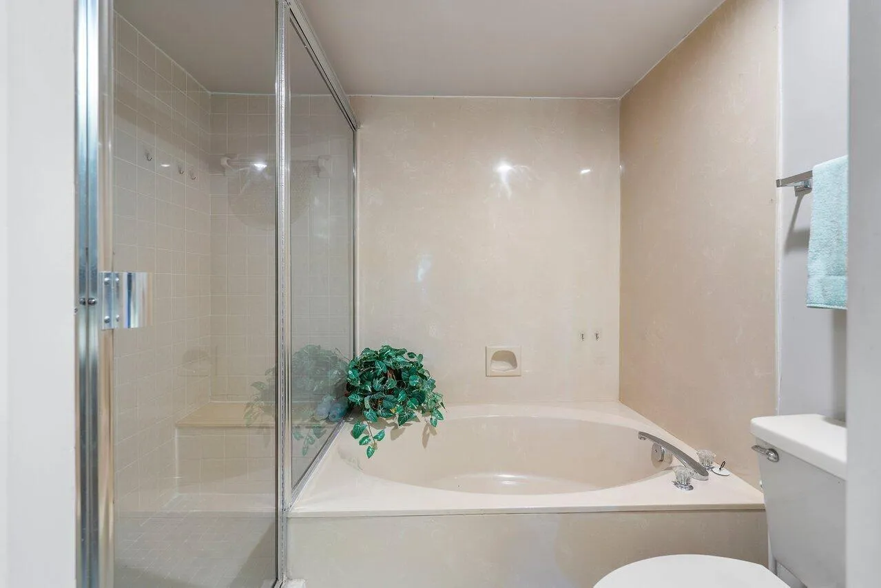 Separate BathTub & Shower