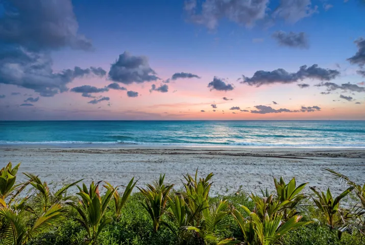 Ocean evening3