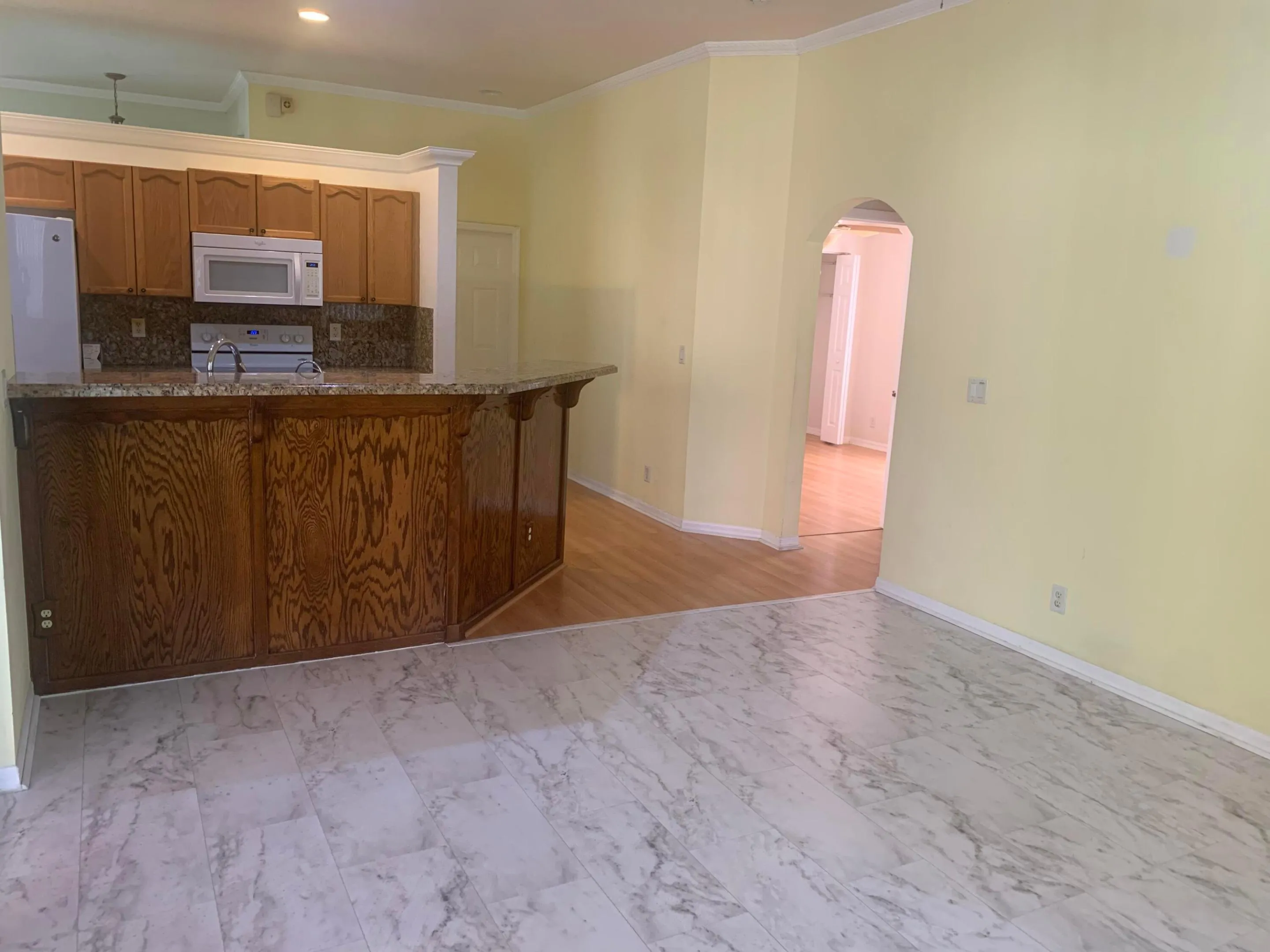 Family Room/Breakfast Bar
