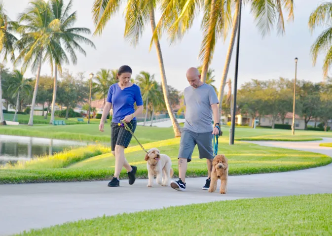 Walking dogs