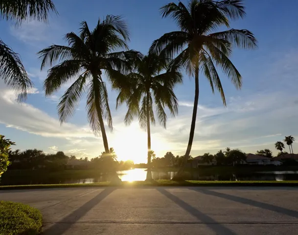 Sunset