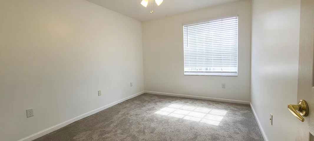 9861Woodworth-16