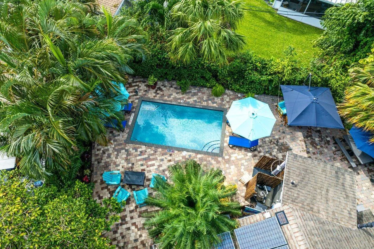 Backyard Bird's Eye View