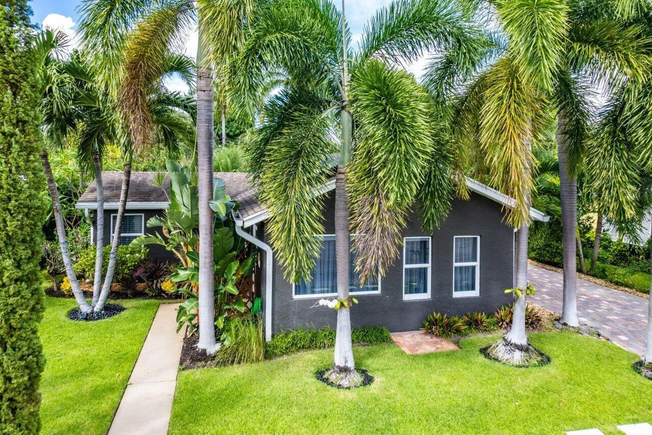 Palm Tree Paradise
