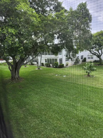 Rear Courtyard
