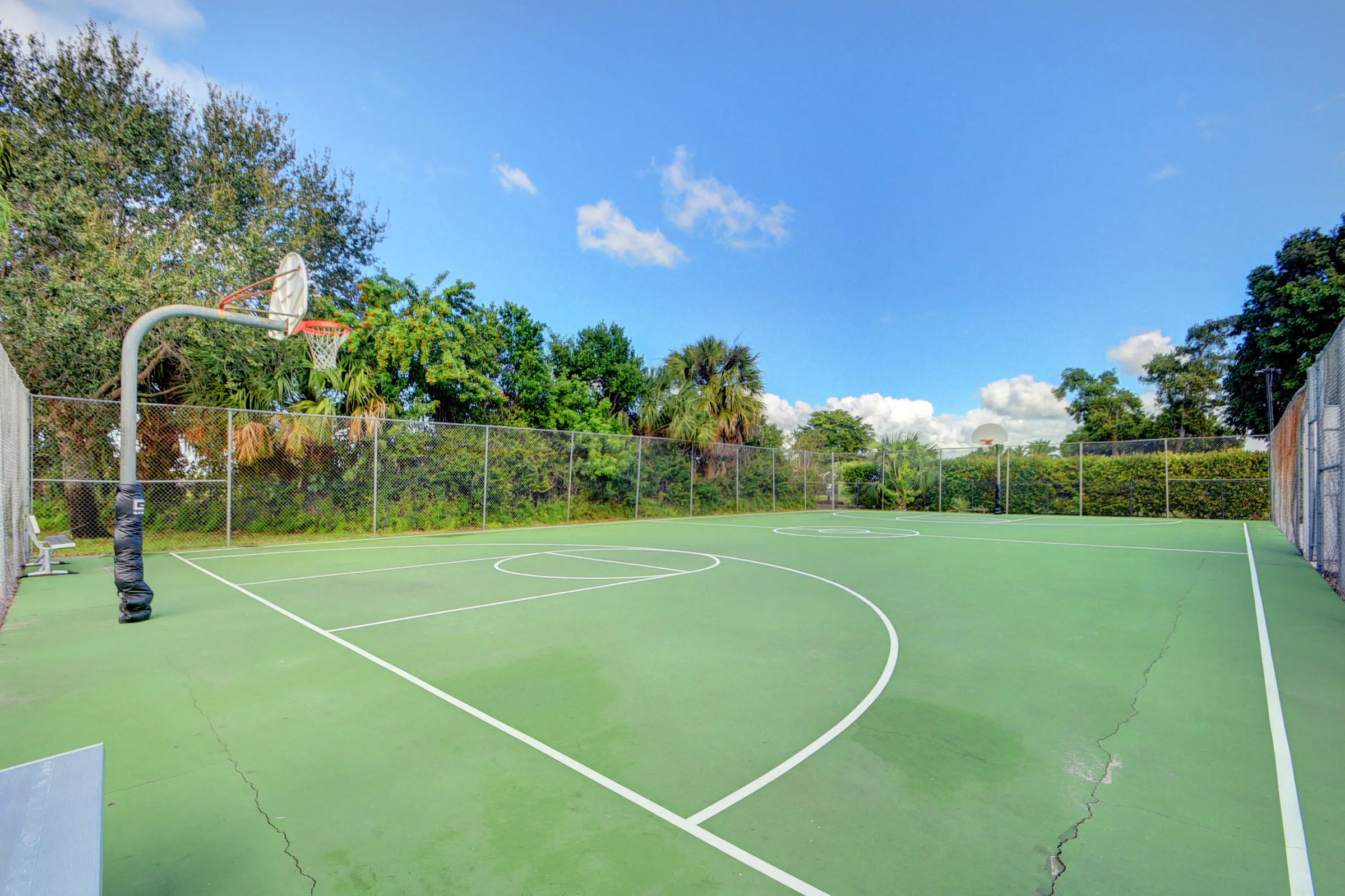 Basketball