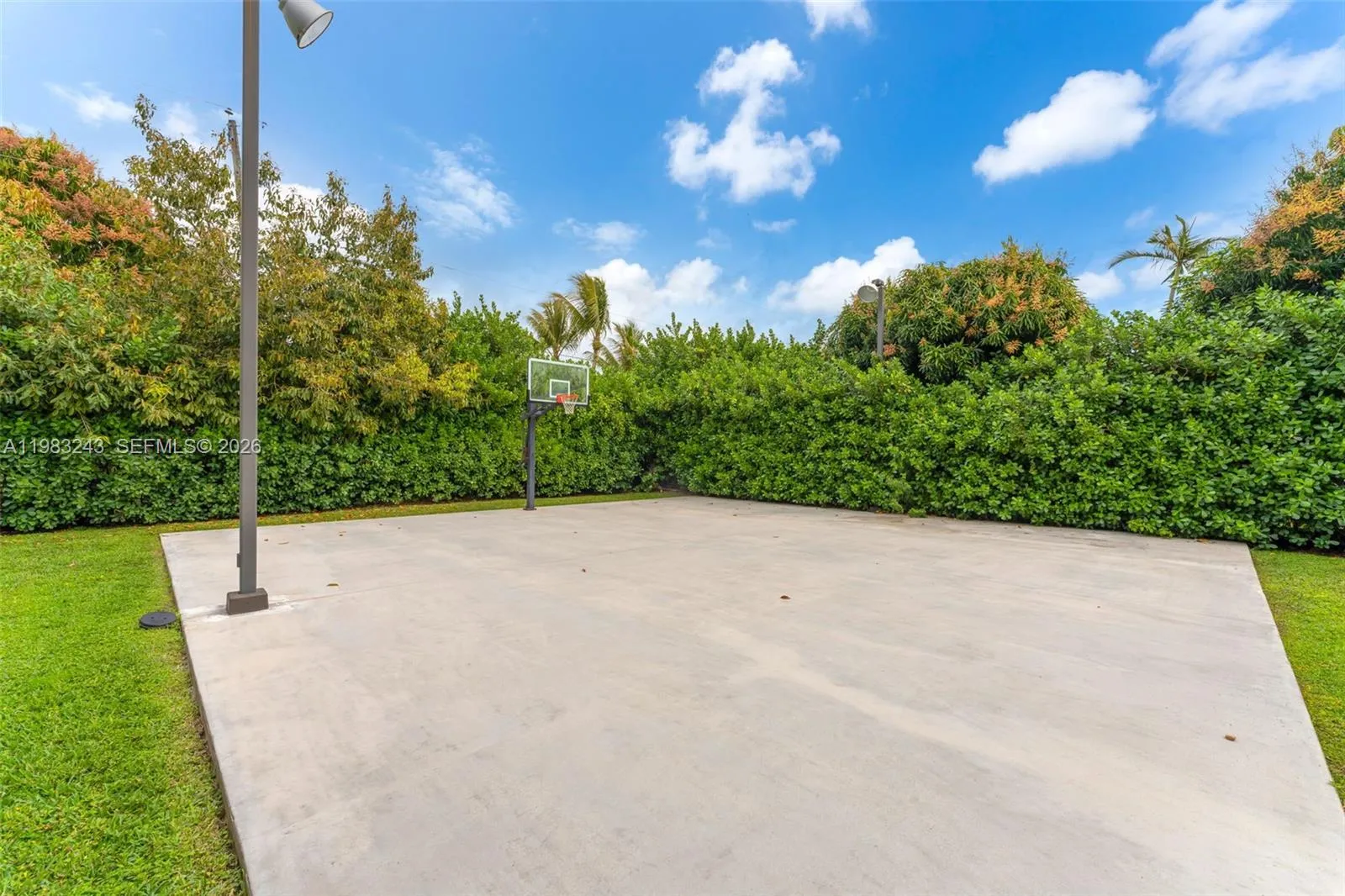 Property photo 381