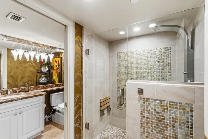 Guest Bathroom Walk-in Shower
