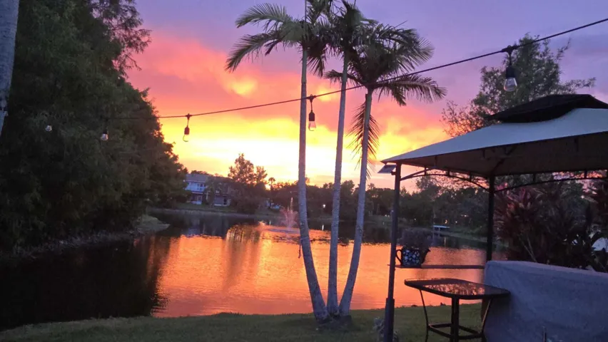 Enjoy the Sunset from the garden