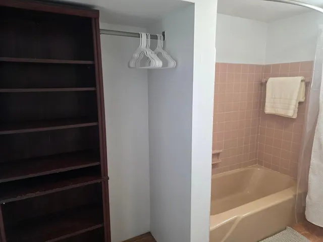 Shower/Tub Combo