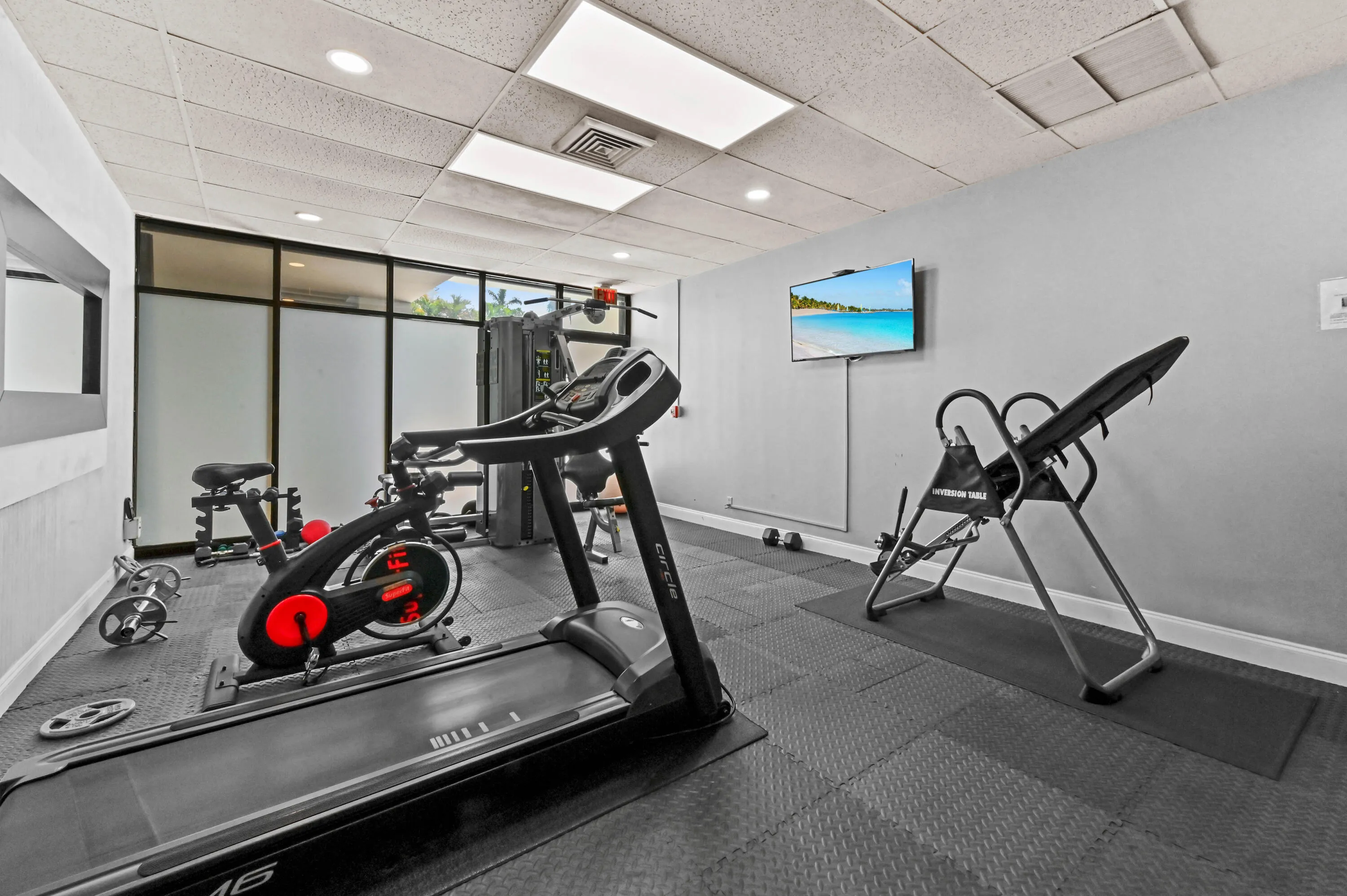36 gym 01