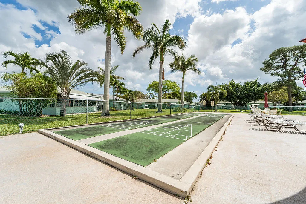 Shuffleboard