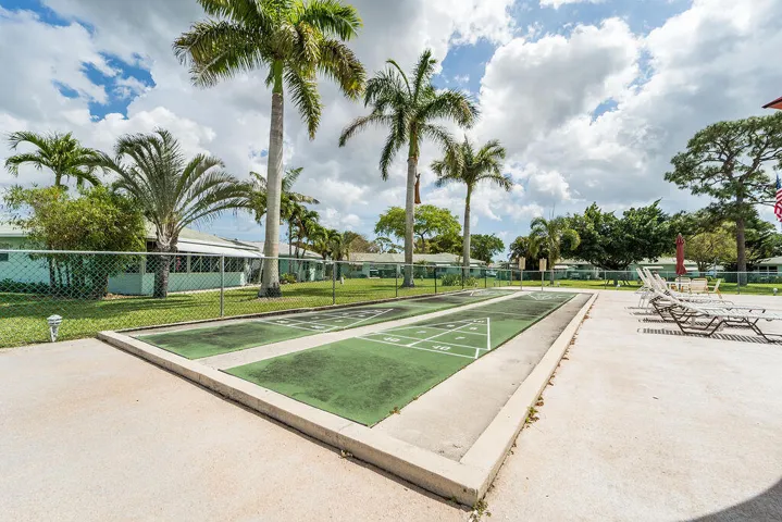Shuffleboard