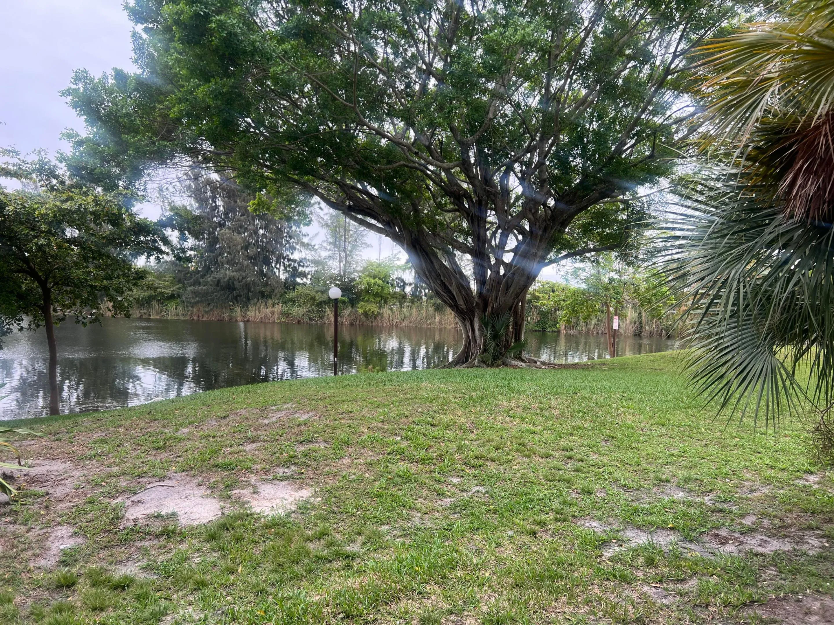 IMG_3181