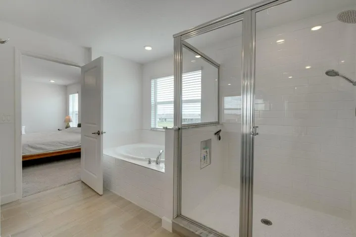 Primary Bathroom Tub.jpg-SMALL