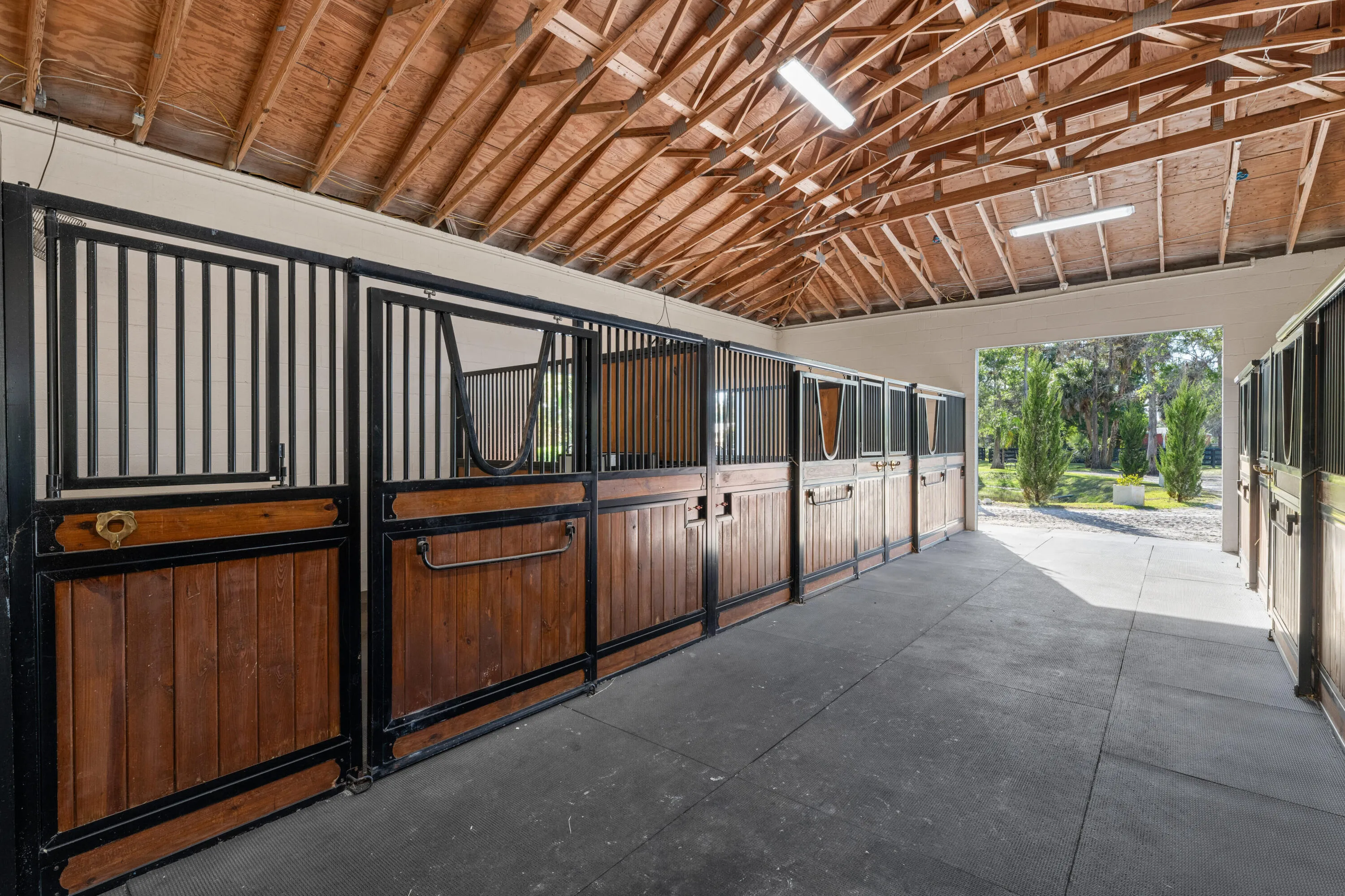 Barn One- 12 stalls