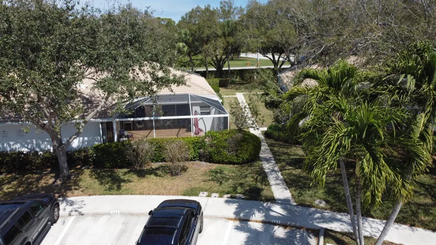 Aerial 2903 Pin Oak