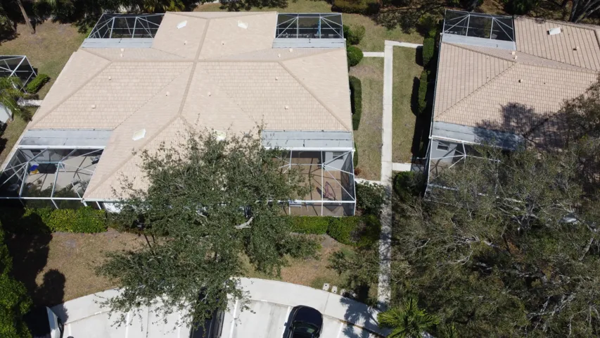 Aerial 2903 Pin Oak
