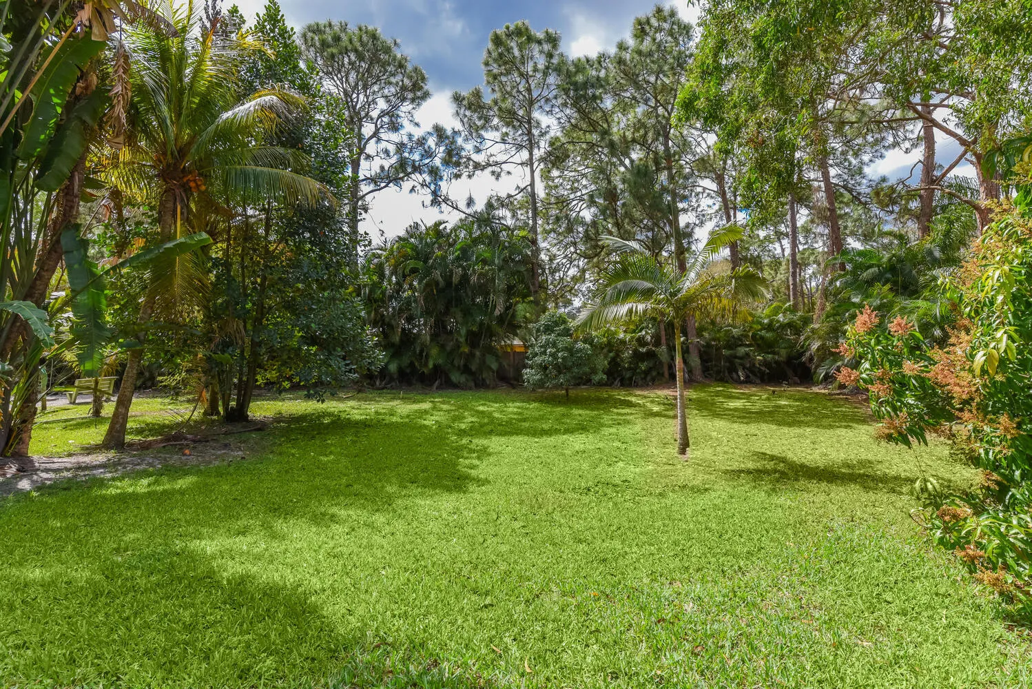 Property photo 61