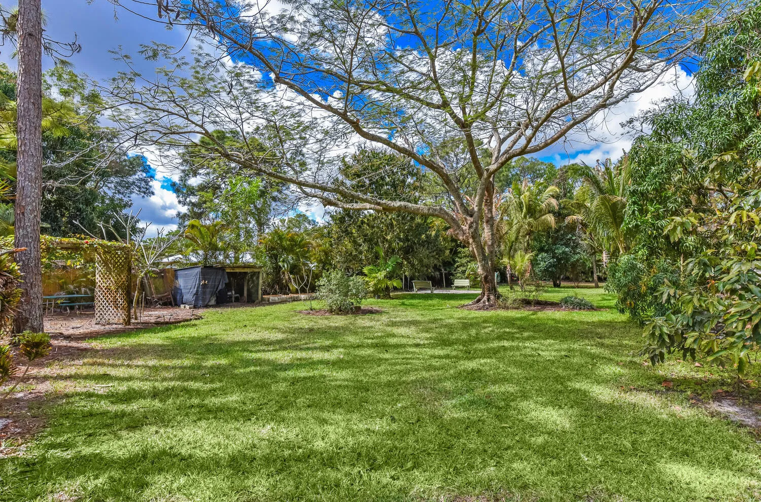 16244 Downers Dr E The Acreage-large-055