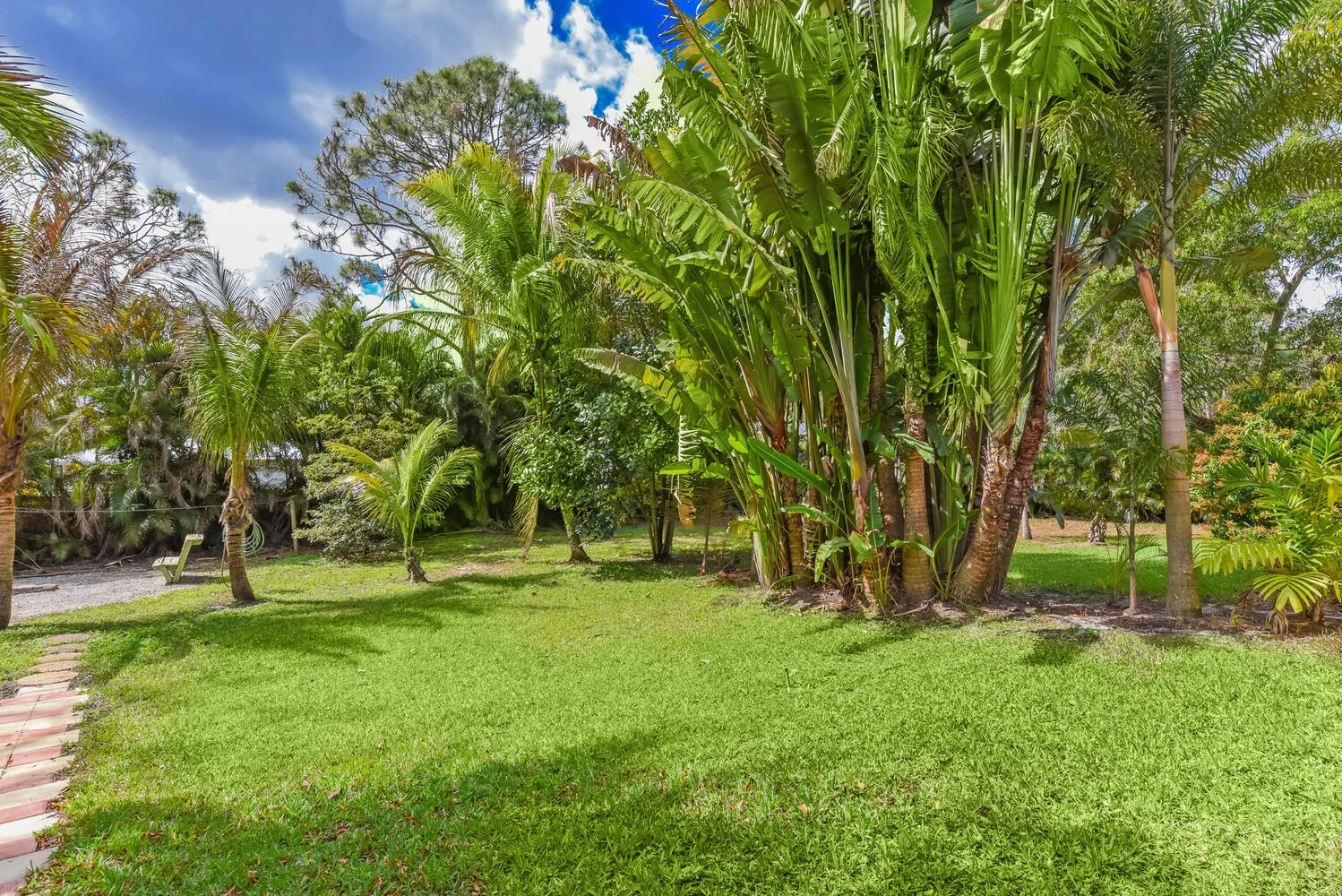 mature fruit trees