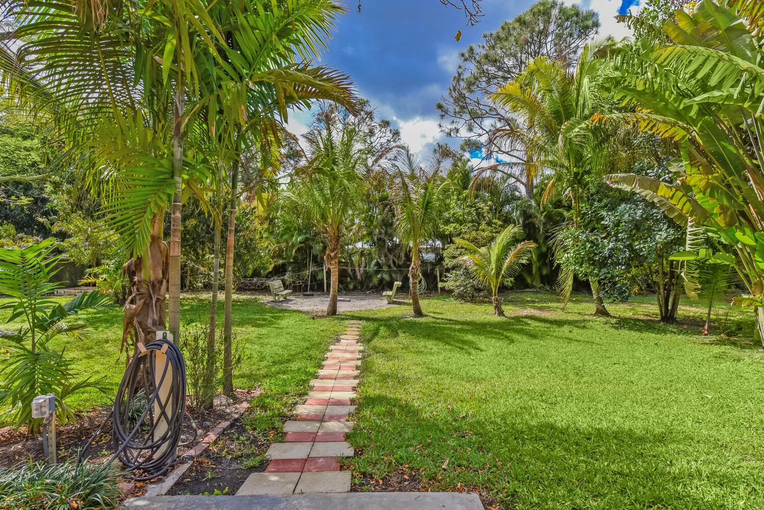 backyard