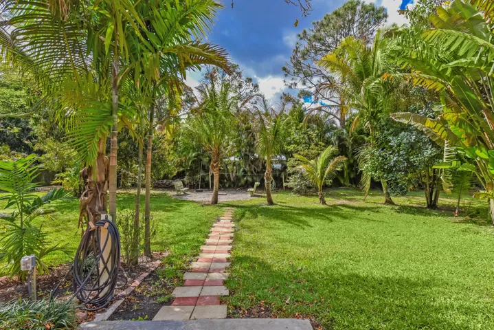 backyard