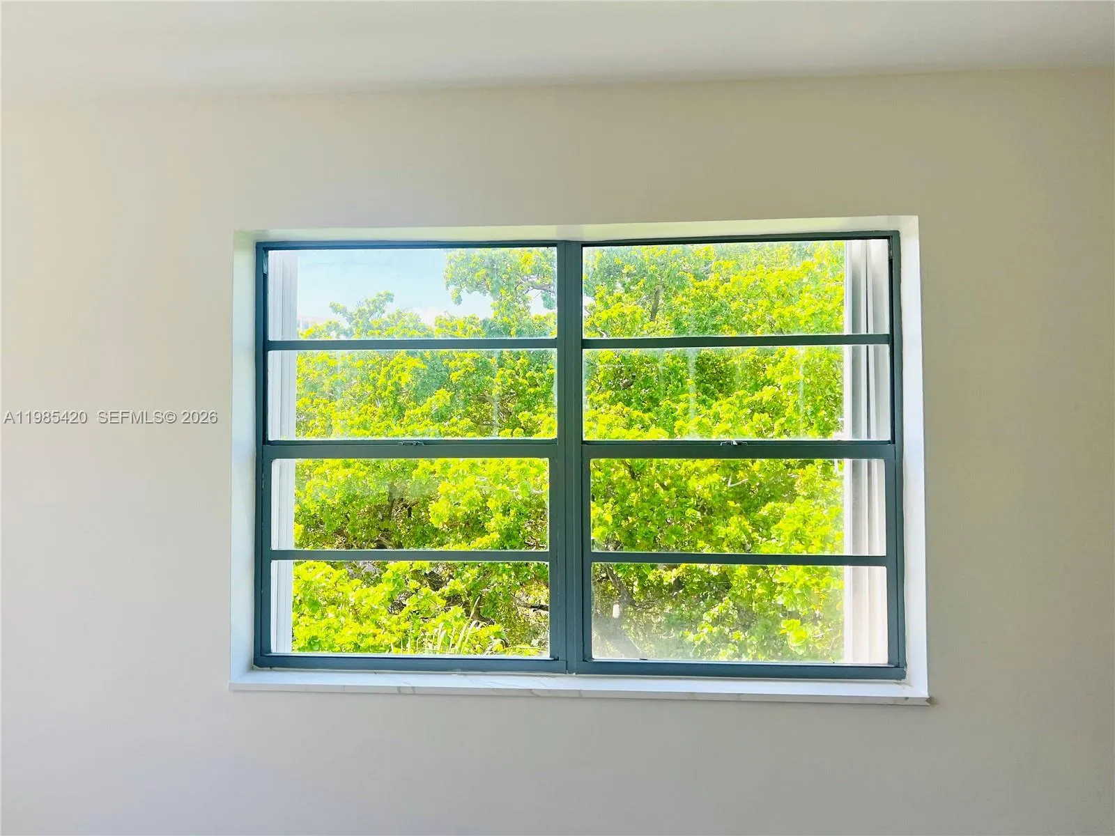 Property photo 59